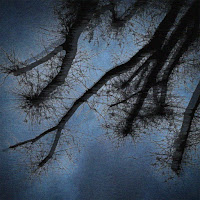 99Zed & Saliva Grey - Self Sabotage загрузить