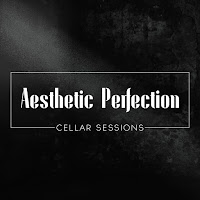 Aesthetic Perfection - Gods & Monsters загрузить
