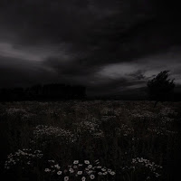 Alekisok - Cardigan (Tiktok Best Part) загрузить