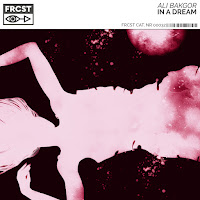 Ali Bakgor - In A Dream загрузить