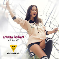 Andra Gogan - Ce Baiat загрузить