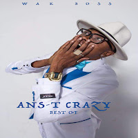 Ans-T Crazy - Civilisé загрузить