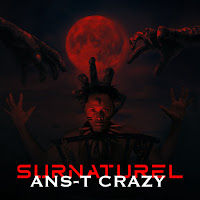 Ans-T Crazy - Ambulance Ft Singleton загрузить