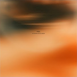 Avi Snow - Feel Ft Mvca & Zeeba загрузить