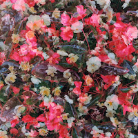 Автоспорт - Пожалуйста, Только Не Домой загрузить