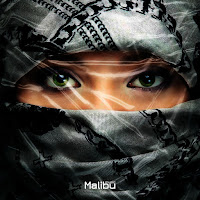 Обложка песни 