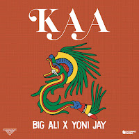 Big Ali - Kaa Ft Yoni Jay загрузить
