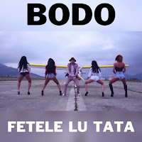 Bodo - Fetele Lu Tata загрузить