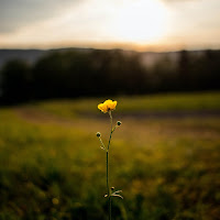 Brock Hewitt: Stories In Sound - A Tender Heart Ft The David Roy Collective загрузить