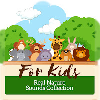 Calm Nature Oasis - Feelings Of Contentment загрузить