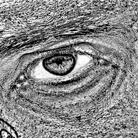 Cam Cole - New Age Blues загрузить