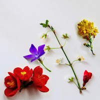 Chris James - I'm Done загрузить