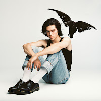 Conan Gray - The Story загрузить