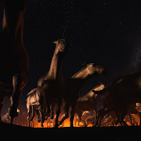 Cvrtoon - Çanakkale загрузить