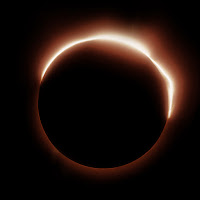 D4Vd - Take Me To The Sun загрузить