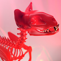 Darci - Rose Petals загрузить