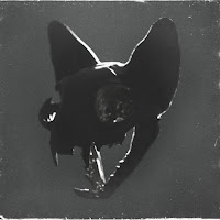 Darci - These Nights загрузить