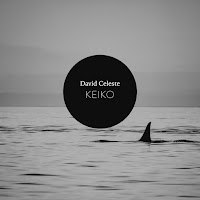 David Celeste - Through The Vast Kelp Forest загрузить