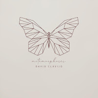 David Clavijo - Metamorphosis загрузить