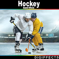 Digiffects Sound Effects Library - Child Hockey Game With Tackle, Icing, Cheering, And Game Over загрузить