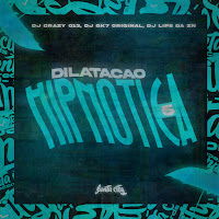 Dj Crazy 013 - Montagem Dilatação Hipnótica 5.0 Ft Dj Gk7 Original & Dj Lipe Da Zn загрузить