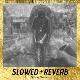 Обложка песни 