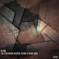 Dj Nil - I'm A Rainbow (Kapral Remix) загрузить