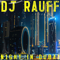 Dj Rauff - Night In Dubai загрузить