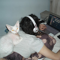 Обложка песни 