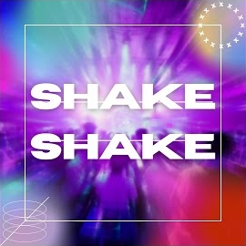 Dj Yalcin Erdilek - Shake Shake загрузить