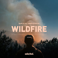 Dlmt - Wildfire (Extended) Ft Luis Torres & Rico 56 загрузить