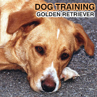 Dog Training Institute - Problem Solving And Prevention загрузить