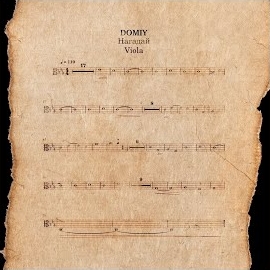 Domiy - Нагадай (Acoustic Version) загрузить