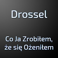 Drossel - Co Ja Zrobiłem, Że Się Ożeniłem загрузить