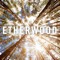 Etherwood - Begin By Letting Go загрузить