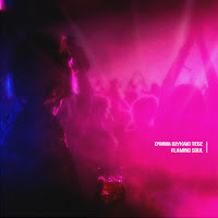 Flaming Soul - Очима Шукаю Тебе загрузить