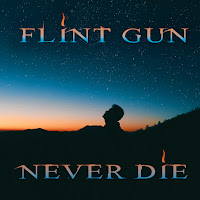 Flint Gun - Never Die загрузить