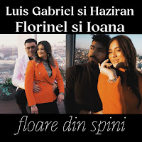 Florinel Si Ioana - Floare Din Spini Ft Luis Gabriel & Haziran mp3 скачать