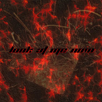 Fredbydredd - Look At Me Now загрузить