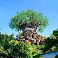 Fulton Lee - Mufasa загрузить