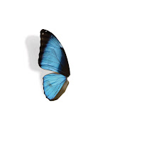 Grabbitz - Roam With You загрузить