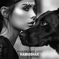 Обложка песни 