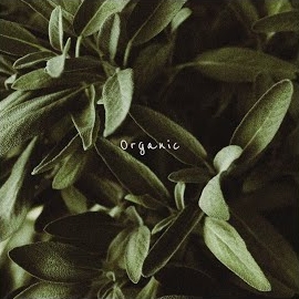 Hazue - Organic загрузить