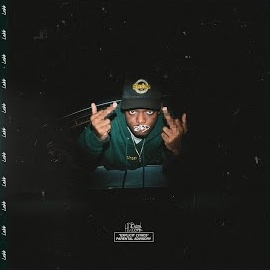 Hdbeendope - Byrd загрузить