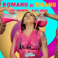 Iuly Neamtu - Românii Și Țiganii Ft Alex Velea & Manele Mentolate загрузить