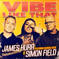 James Hurr - Vibe Like That (Feat. Georgia Meek) Ft Simon Field загрузить