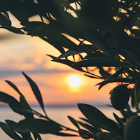 Jeff Kaale - Flow загрузить