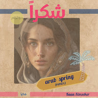 Kaan Simseker - Arab Spring загрузить