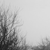 Kaeshani - Involuntary Memory (Slowed + Reverb) загрузить