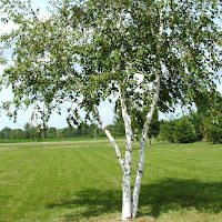 Куренков Сергей - Иней загрузить